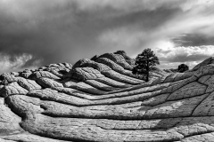 Dramatic light on the Lone Tree Dramatic light on the Lone Tree