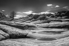 White Pocket and Lone Tree White Pocket and Lone Tree