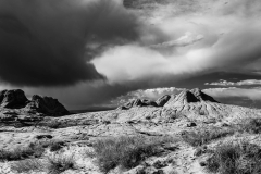 White Pocket White Pocket